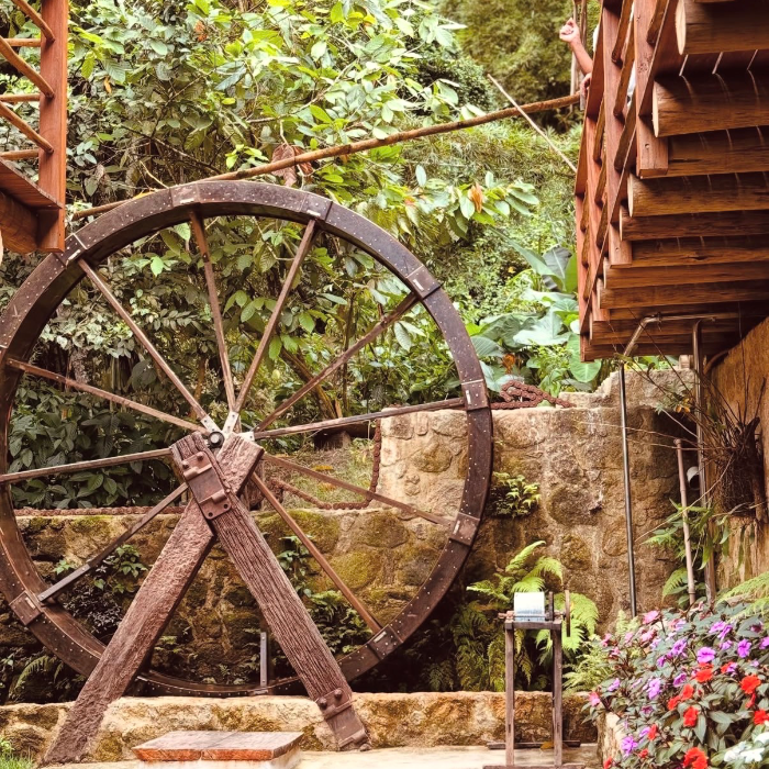 No Alambique Praiano, o tempo passa devagar. A brisa do mar encontra o aroma da cana e cada destilado carrega um pedacinho do litoral.