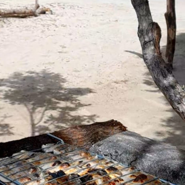 O Passeio no Delta proporciona aos visitantes a oportunidade de conhecer de perto as belezas naturais do Rio Guriú, permitindo a observação de espécies típicas do ecossistema local, como garças, caranguejos e cavalos-marinhos.