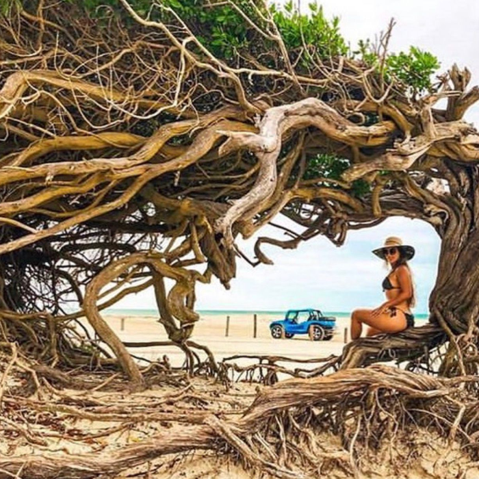 Conheça Jericoacoara por completo com a Jegue Alado 

Comprando o combo de 2 dias de experiencia nos passeios privativos de hillux 4x4  jardineira  para conhecer os litorais (Leste e Oeste)  com duração de 9 às 16h cada dia, clientes Duopass ganham o 3º dia de passeio para conhecer a nova rota Extremo Leste com visita ao Beira D`agua Beach e almoço no restaurante KOMAKI.

Uma oportunidade exclusiva para viver roteiros diferentes, descobrir paisagens únicas e aproveitar Jericoacoara de forma completa, com conforto, segurança e acompanhamento de quem atua na região desde 2013.

 Mais experiências, mais economia e memórias inesquecíveis em um só destino.