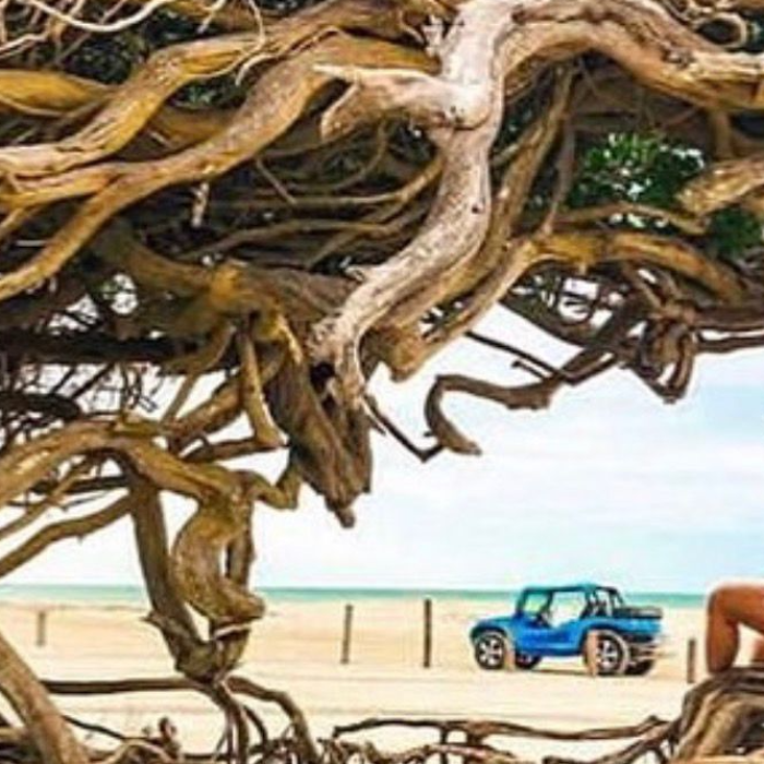 Mais de 15 anos elaborando os melhores roteiros de experiências na região de Jericoacoara, personalizo a sua rota de passeios, otimizando tempo e apresentando as melhores opções da culinária local especialista em frutos do mar