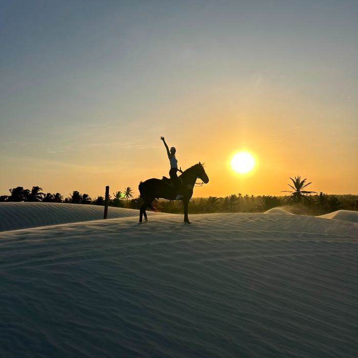 O passeio a cavalo nas dunas da praia da barrinha sem dúvidas é uma das experiências mais marcantes da região de Jericoacoara, animais super bem cuidados te levam por dunas, lagoas e paisagens de tirar o fôlego,  nossos guias acompanham todo o passeio registrando com fotos e vídeos sensacionais